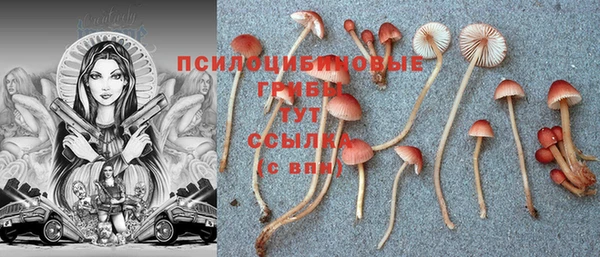 ешки Краснослободск